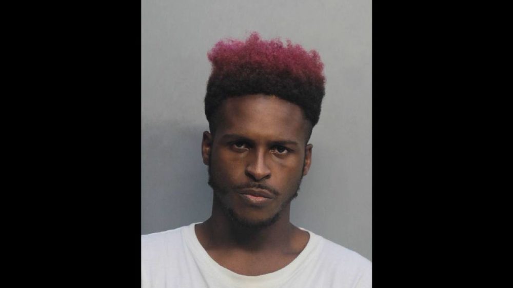 Rapper Luther Campbell’s son arrested in Miami; charges include grand theft auto