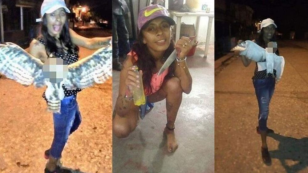 Woman who beheaded owl on social media assassinated as payback in Colombia