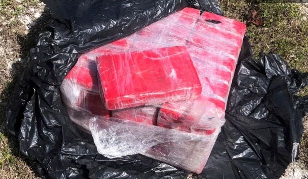 Snorkeler finds 25 bricks of cocaine in Florida