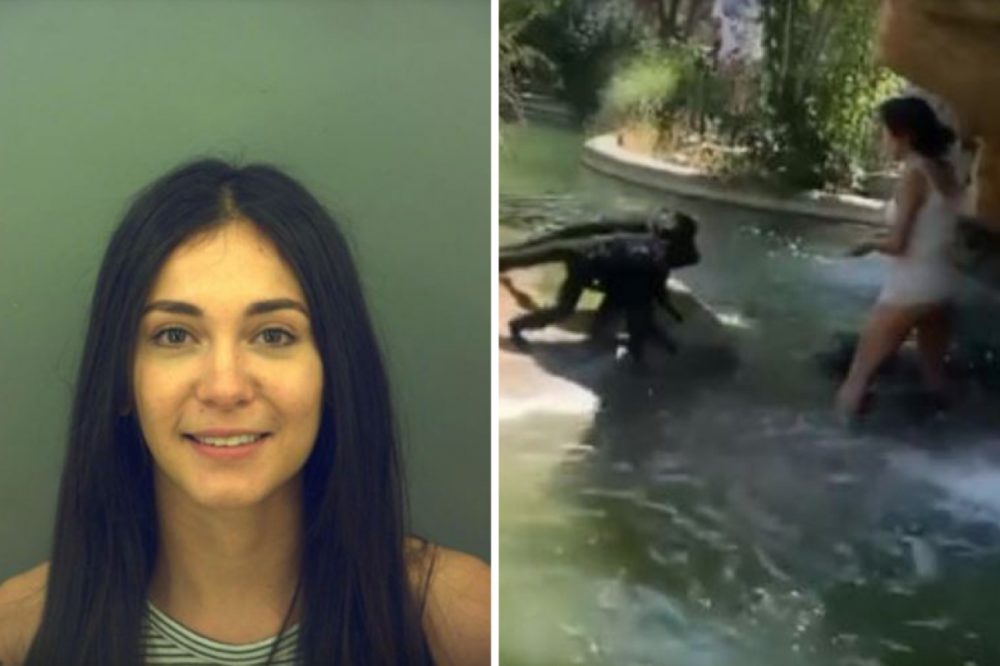 Woman filmed feeding spider monkeys at zoo is arrested