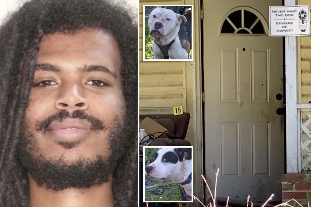 Pit Bulls fatally maul suspected home intruder