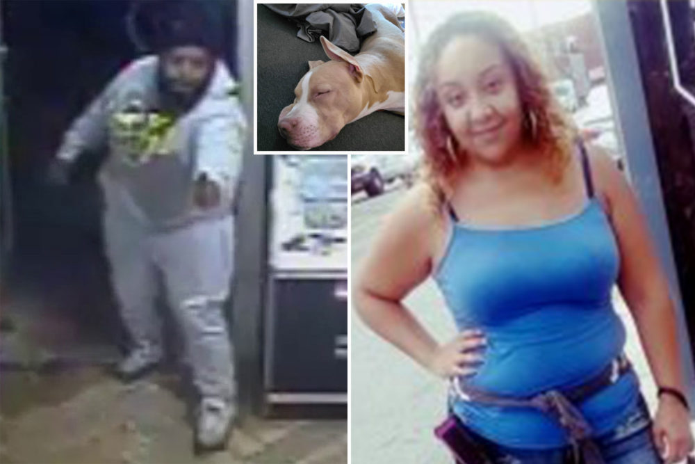 Man Arrested After Killing Woman, Dog In Brooklyn Bodega: Police