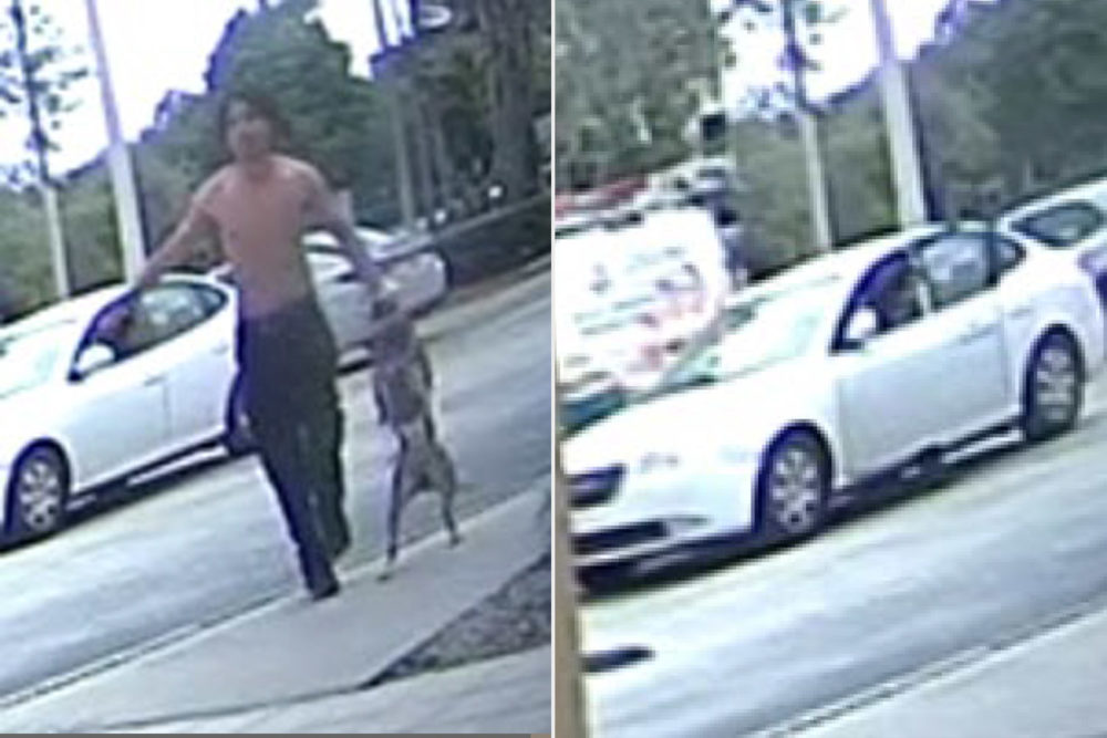 Man Used Dog To Attack Elderly Man Outside ATM During Robbery