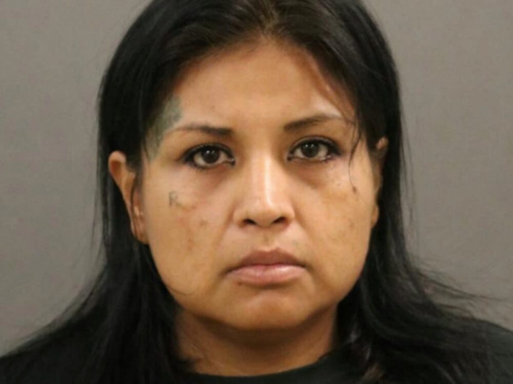 Woman Allegedly Set Target Store On Fire Causing $500K In Damages To Steal Baby Formula